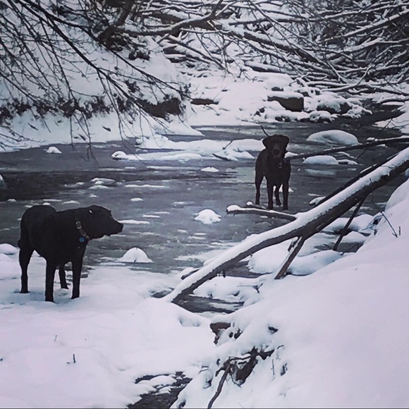 Meet your Posher, Katherine - Picture 1 of 1